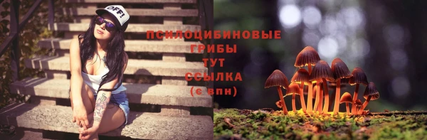 бутират Переславль-Залесский