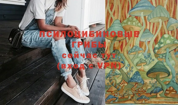 дживик Нягань