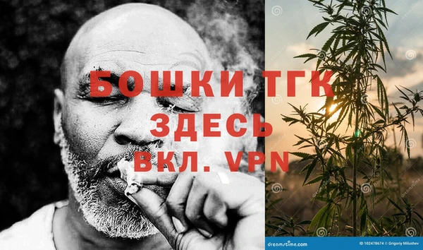 ГАЛЛЮЦИНОГЕННЫЕ ГРИБЫ Новозыбков