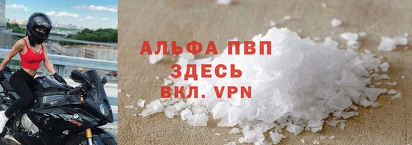 ГАЛЛЮЦИНОГЕННЫЕ ГРИБЫ Новозыбков
