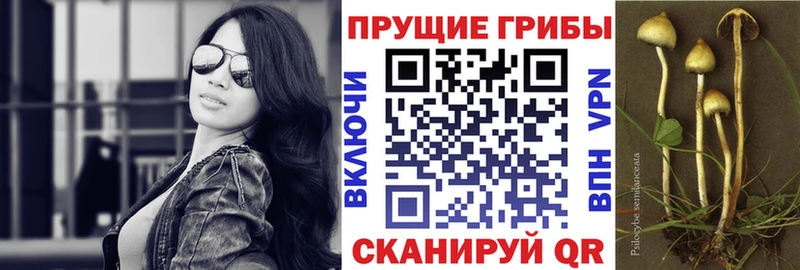 hydra вход  Кирово-Чепецк  Галлюциногенные грибы мухоморы 